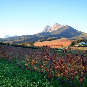Marianne Wine Estate